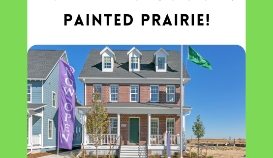Builder discounts in Painted Prairie